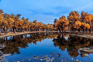 《光环：无限》熔炉模式重建“玩具总动员”安迪房间